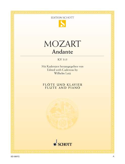 Andante for Flute